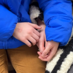 Screenshot from Subway Hands